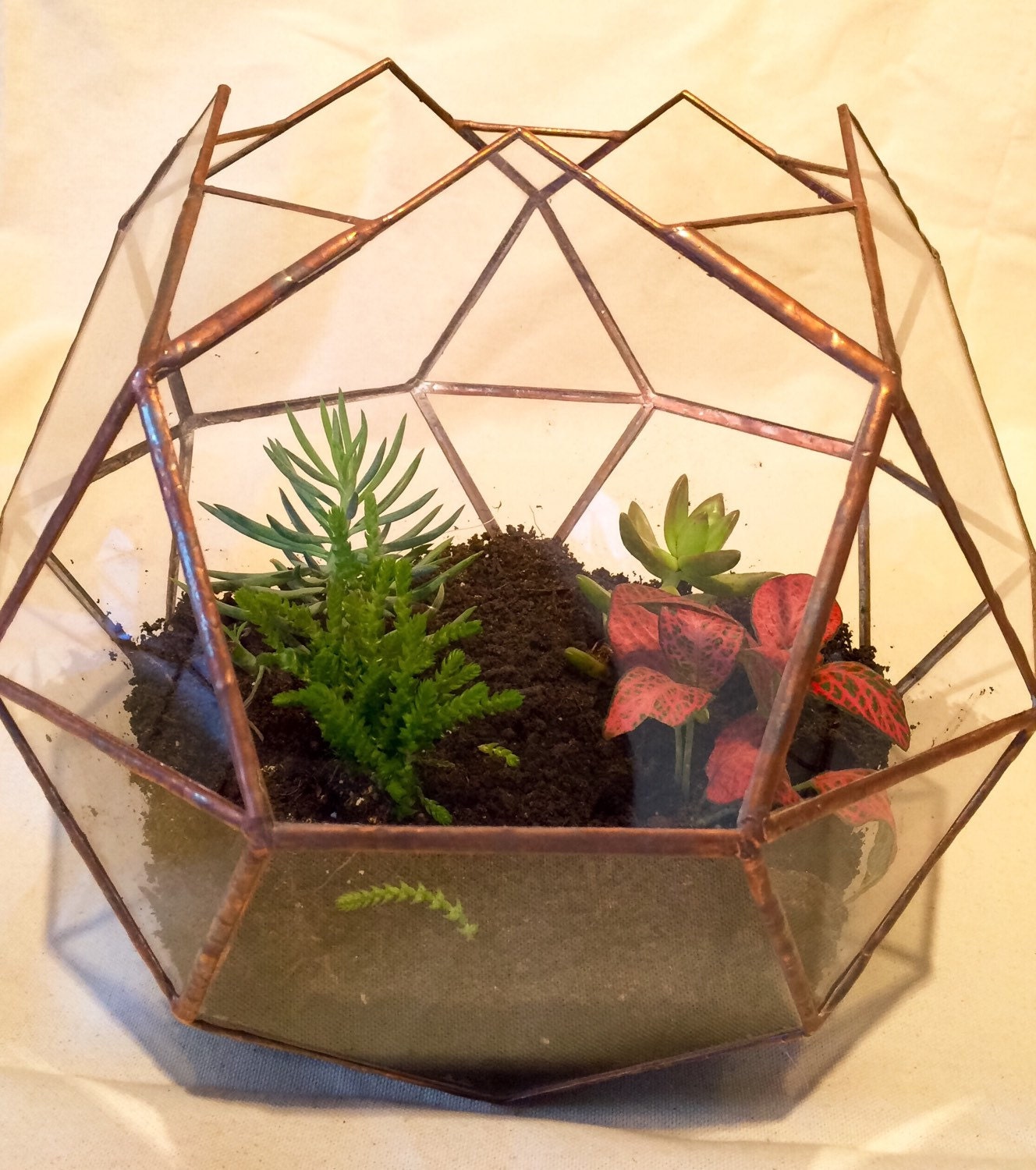 Handmade Glass Terrarium, Geometric Globe, Copper Foil, Wedding Centerpiece (12x10x10)
