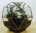 Handmade Glass Terrarium, Geometric Globe, Copper Foil, Wedding Centerpiece (12x10x10)