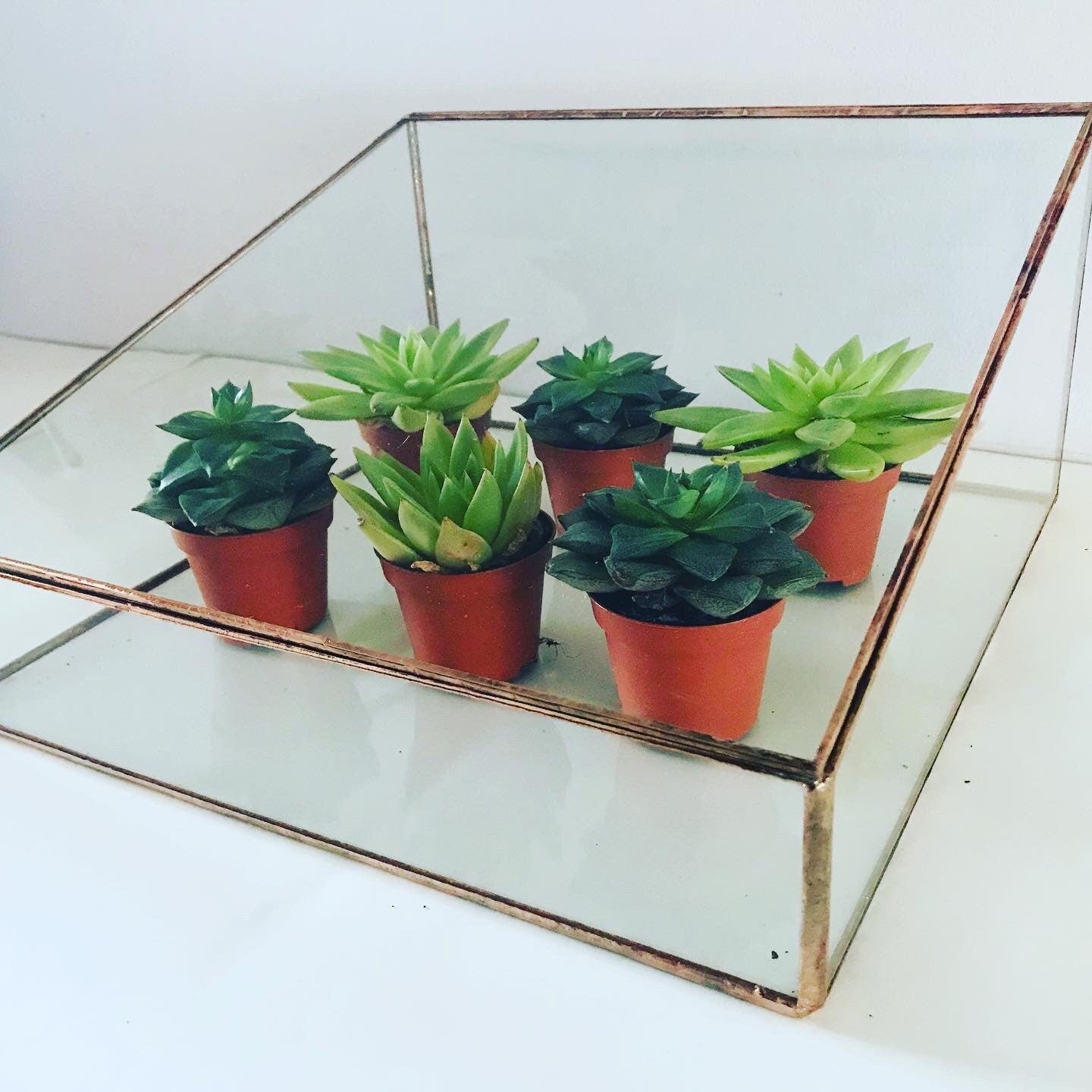 Hinged Glass Display Case, Jewellery & Keepsake Box, Handmade