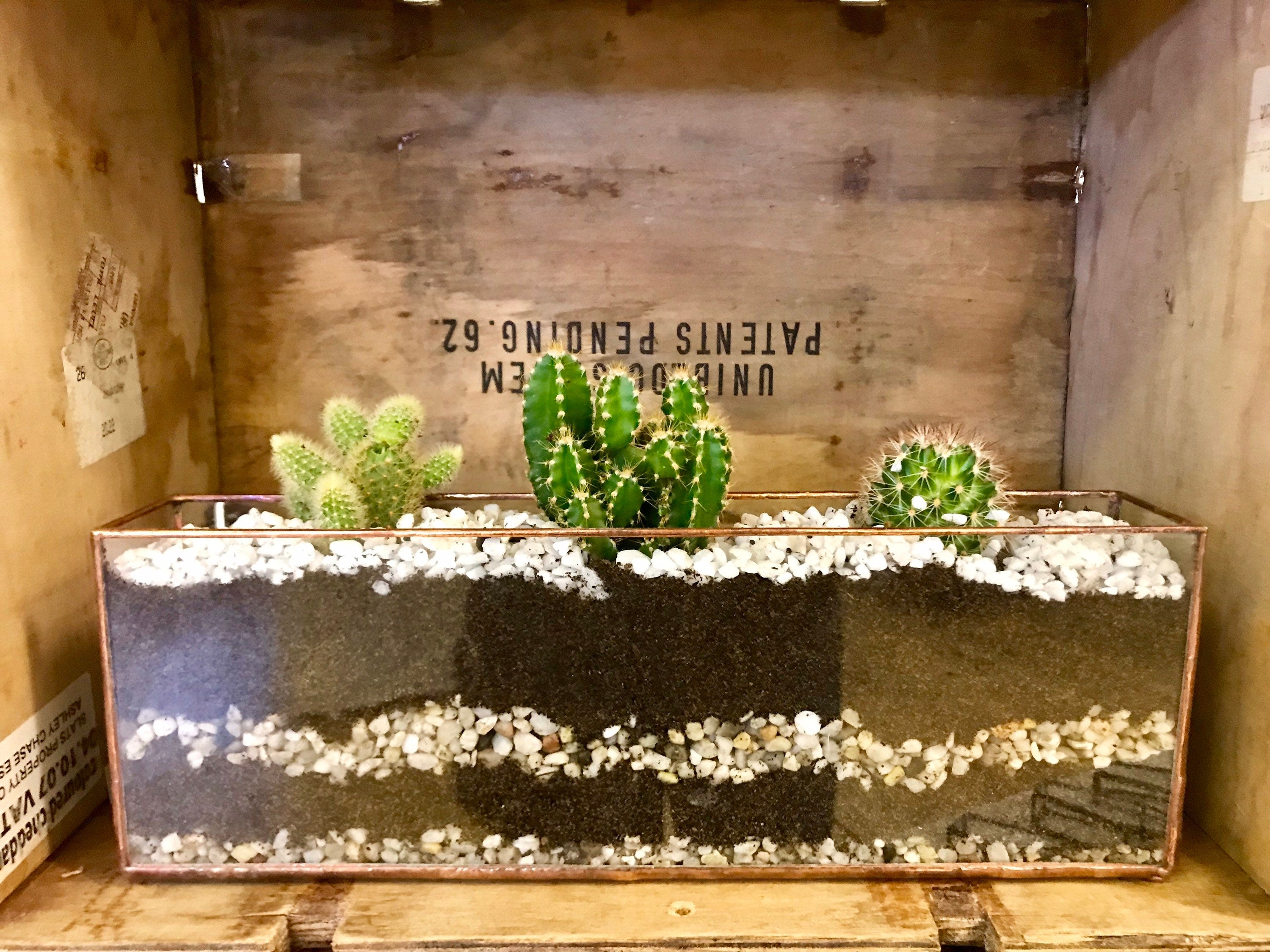 Handmade Long Glass Tealight Holder, Airplant Display Box, Wedding Decoration